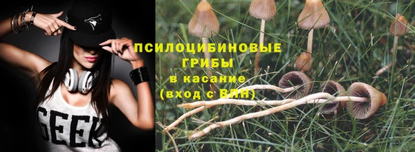 PSILOCYBIN Усолье-Сибирское