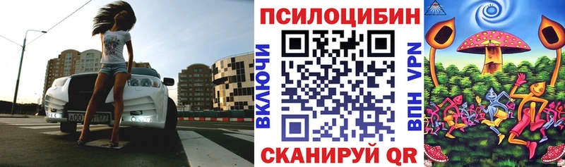 что такое   Брянск  Галлюциногенные грибы Psilocybine cubensis 